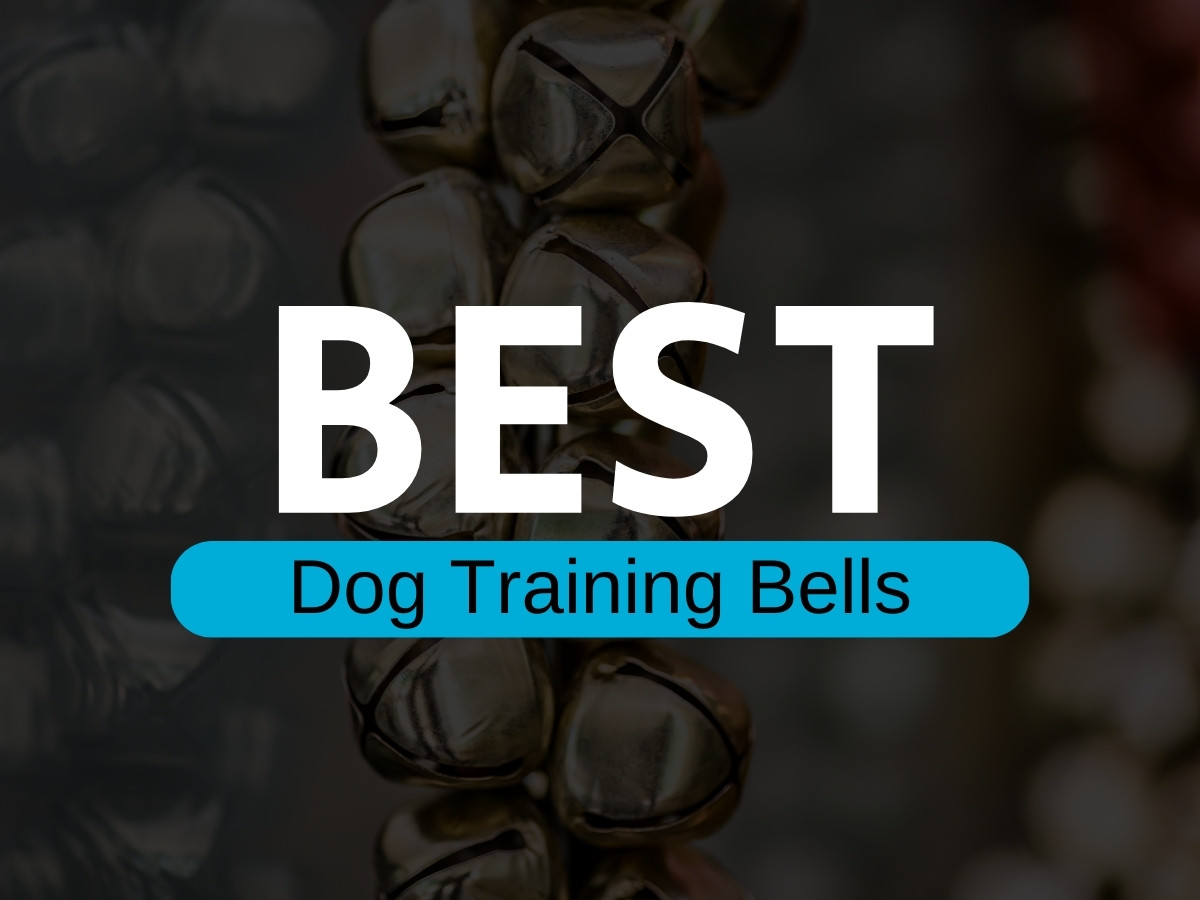 best dog training bells