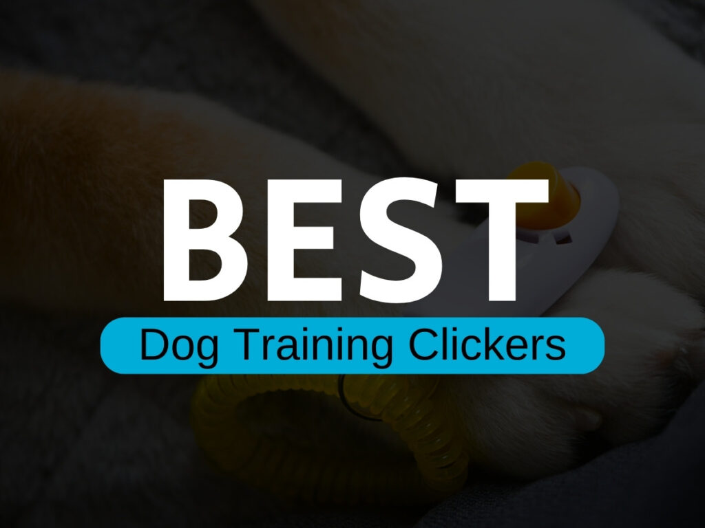 best dog training clickers