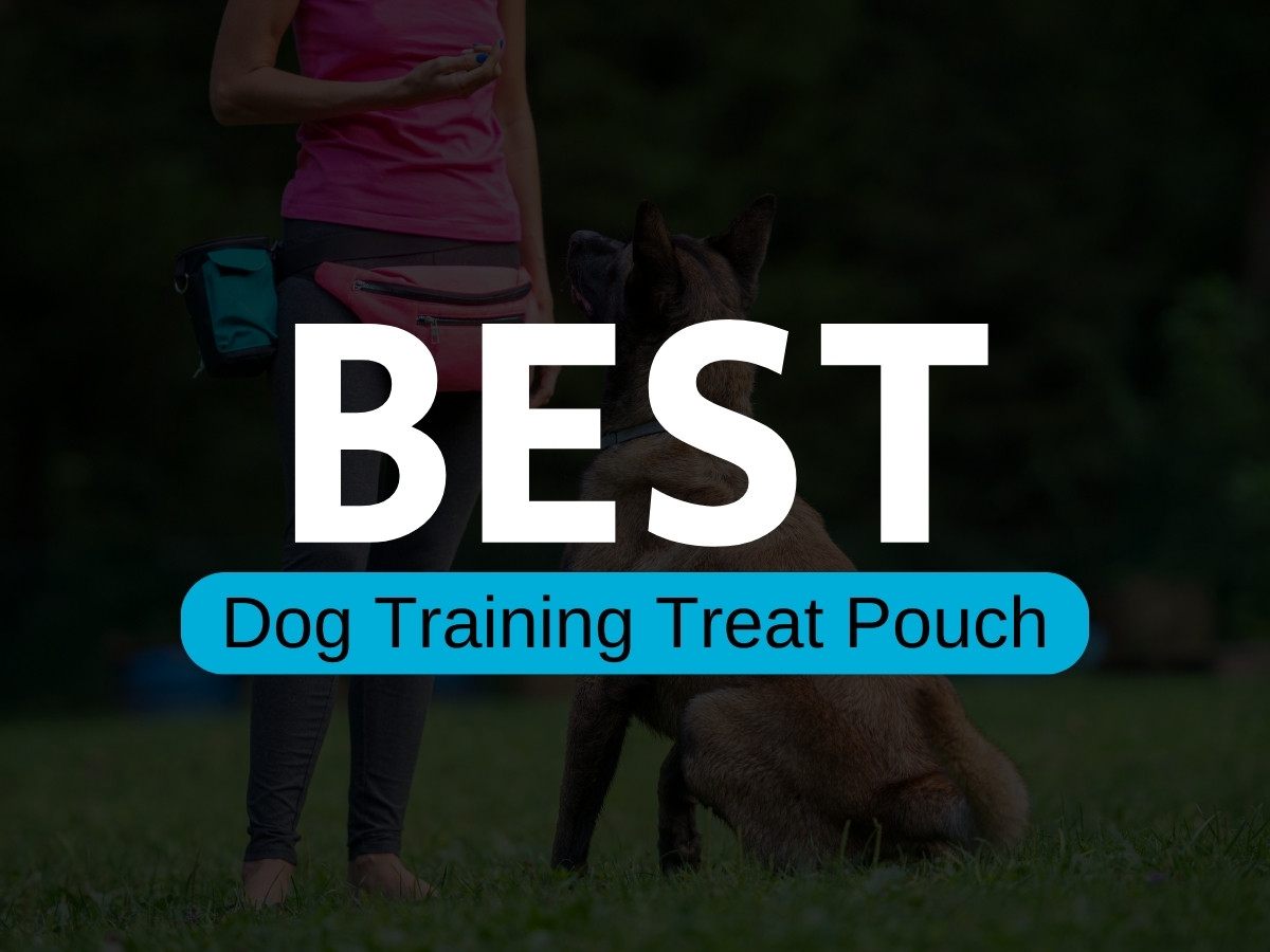 best dog training treat pouch