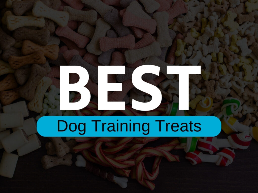 best dog training treats