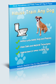 Potty Training Secrets: Housebreak Your Dog Fast