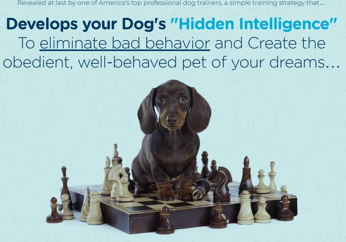Brain Training For Dogs
