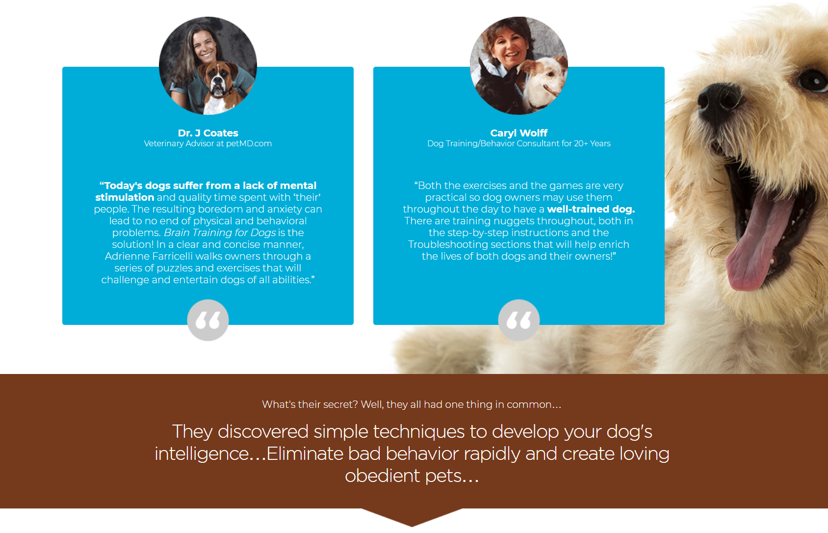 Brain Training For Dogs