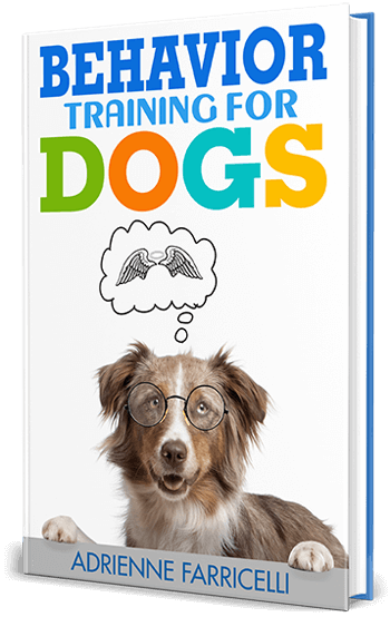 Brain Training For Dogs